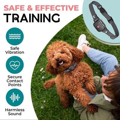 PetSilence Antibark Halsbånd – Skånsom Løsning til Små Hunde Bonusvis