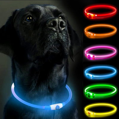 Genopladeligt LED Hundehalsbånd – Justerbart, Vandtæt Lysende Halsbånd med 3 Lysfunktioner til Natlige Gåture Blå Bonusvis
