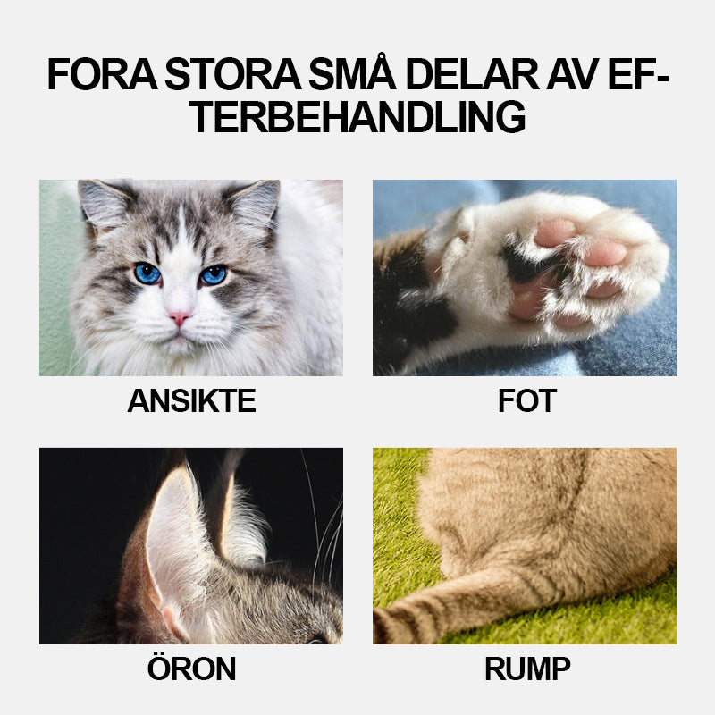 Mini Hundetrimmer – Sikker og Præcis Pleje til Følsomme Områder Bonusvis