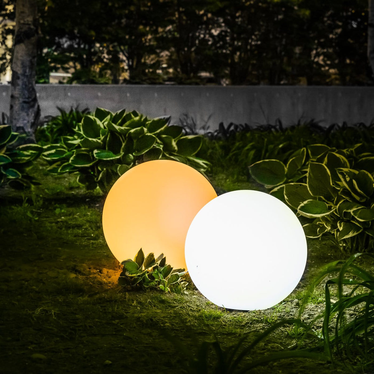 Element Lamp | Bærbar indendørs/udendørs lampe Bonusvis