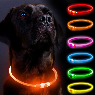 Genopladeligt LED Hundehalsbånd – Justerbart, Vandtæt Lysende Halsbånd med 3 Lysfunktioner til Natlige Gåture Orange Bonusvis