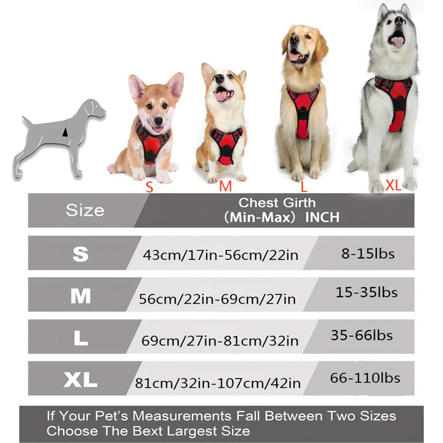 Robust No-Pull Hundesele med Reflekser – Justerbar Sele i Åndbart Nylon med For- og Bagsnorefæste til Alle Hundestørrelser Bonusvis