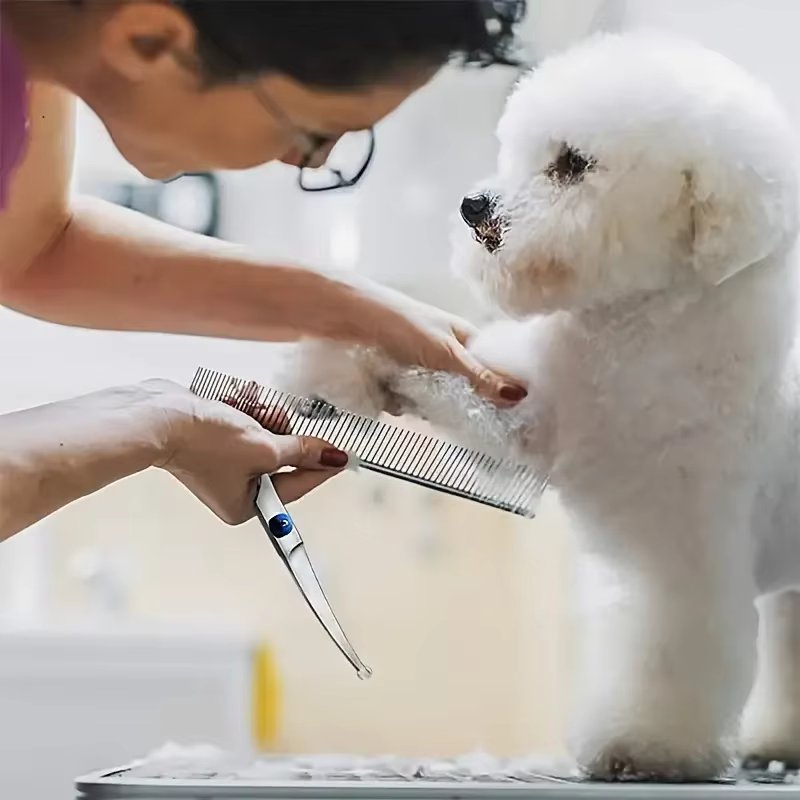 Sikkert Hundesaksesæt med Rundede Spidser – 5 Dele Groomingsæt med Kam og Etui, Rustfrit Stål til Alle Kæledyr Bonusvis