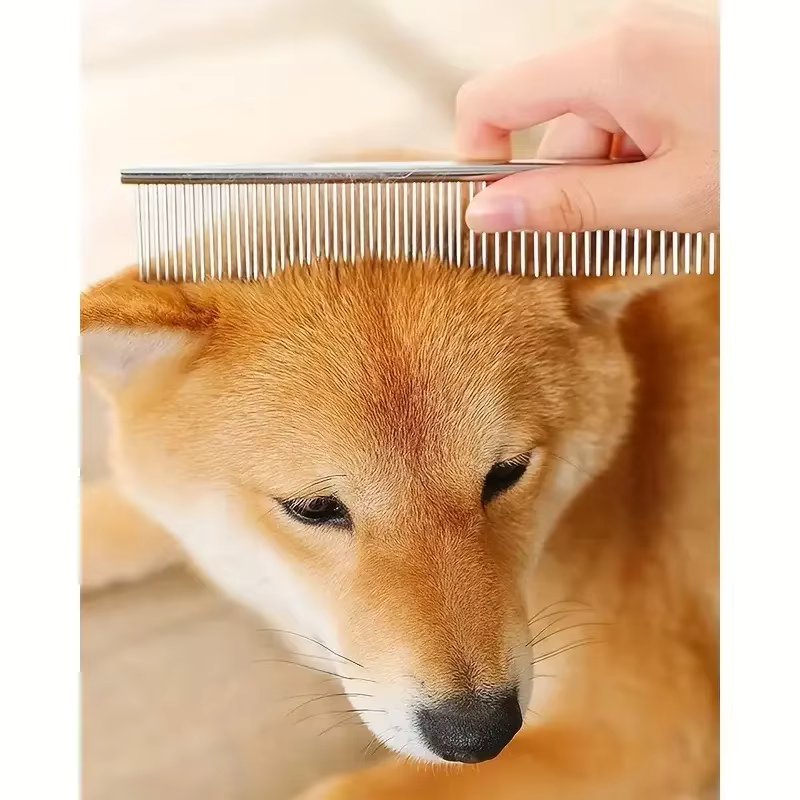 Sikkert Hundesaksesæt med Rundede Spidser – 5 Dele Groomingsæt med Kam og Etui, Rustfrit Stål til Alle Kæledyr Bonusvis