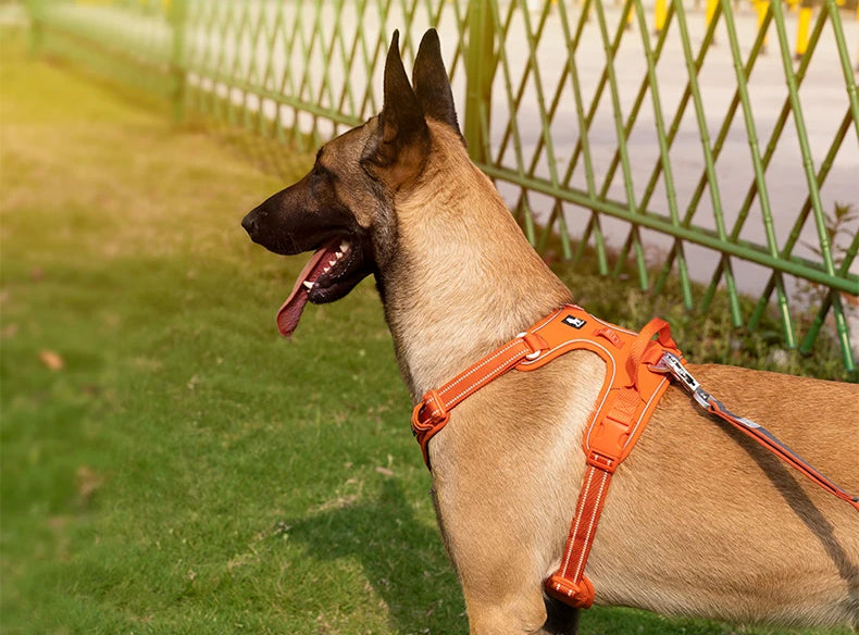Reflekterende No-Pull Hundesele i Nylon – Justerbar Sele med Håndtag og Polstring til Alle Hundestørrelser Bonusvis