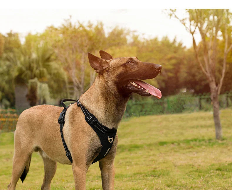 Reflekterende No-Pull Hundesele i Nylon – Justerbar Sele med Håndtag og Polstring til Alle Hundestørrelser Bonusvis