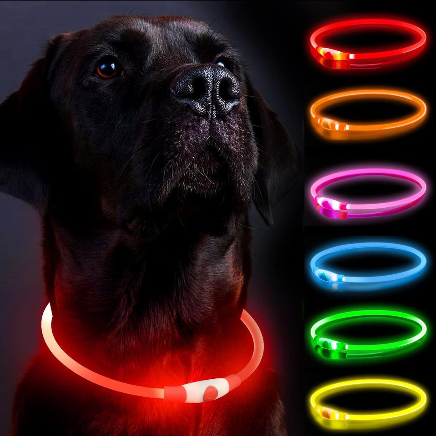 Genopladeligt LED Hundehalsbånd – Justerbart, Vandtæt Lysende Halsbånd med 3 Lysfunktioner til Natlige Gåture Rød Bonusvis