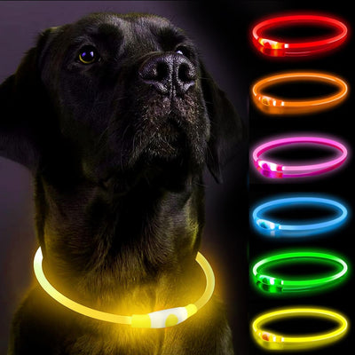 Genopladeligt LED Hundehalsbånd – Justerbart, Vandtæt Lysende Halsbånd med 3 Lysfunktioner til Natlige Gåture Gul Bonusvis